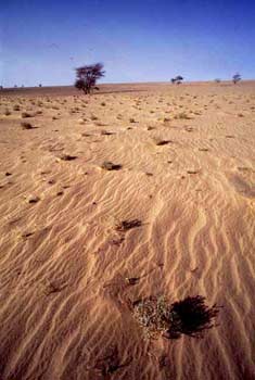 La desertificazione 