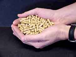 Pellets da combustione