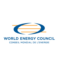 World energy council