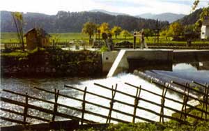 Una canalizzazione di captazione dell'acqua fluente per un piccolo idroelettrico in Francia