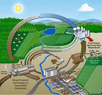 La bioenergia è prodotta secondo un ciclo. L'uso sostenibile di flussi energetici naturali mima i cicli ecologici della Terra e minimizza le emissioni di sostanze inquinanti nell'atmosfera, nei fiumi e negli oceani. La maggior parte del carbonio per produrre energia viene fornito dall'atmosfera dove successivamente ritorna. I nutrienti per creare bioenergia sono presi dal suolo e poi vi ritornano. I residui da una parte del ciclo vanno a costituire le risorse al successivo stadio del ciclo.