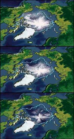 Copertura di ghiaccio estiva prevista tra il 2010 - 2030 ( in alto) 2040 - 2060 (al centro) 2070 - 2090 (in basso)