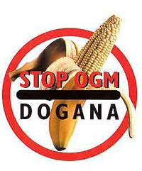 OGM