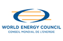 World energy council