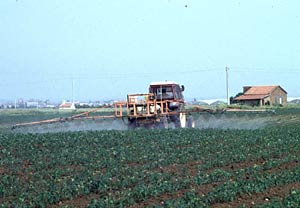 I pesticidi utilizzati in agricoltura sono tra i principali imputati nell'inquinamento da Pop 